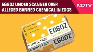 Eggoz Under Scanner Over Alleged Banned Chemical In Eggs