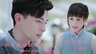 海棠経雨胭脂透 OST 情若塵埃  【Begonia Rouge】