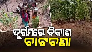 ଦୁର୍ଗମରେ ବିକାଶ ବାଟବଣା | Water Problem | Public Issue | Kandhamal | Durgama Odisha | Argus News