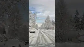 Snow covered WNY