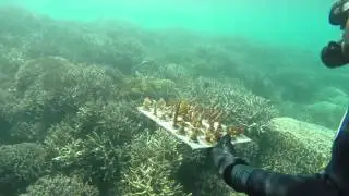 [NCTV] Les coulisses de la Science - Le réchauffement climatique