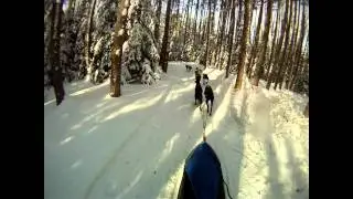 Haliburton Dogsled dash 2012 - Dagenais 8 dog team