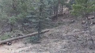 Day 49 - New Chainsaw - Colorado Log Cabin Build