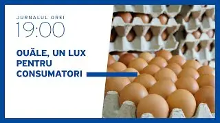 Creșterea bruscă a prețurilor la ouă ajunge pe masa Consiliului Concurenței