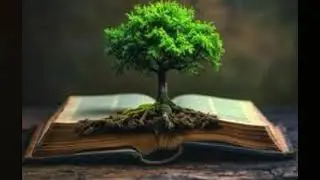 John 1:11 Explained/ He came unto his own,and his own received him not.