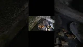 hongo silvestre comestible asado