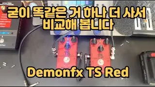 Demonfx TS Red 과연 쓸만한가? 2개를 놓고 비교해 보자 / 알리익스프레스 이펙터 뽑기 운 존재 할까? / 개봉기