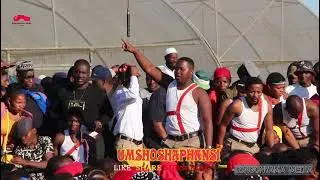 uMshoshaphansi Phushamoya eseShowe