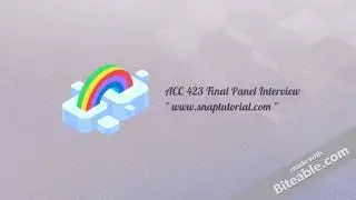 ACC 423 Final Panel Interview| snap| fast delivery