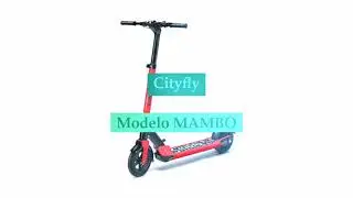 SCOOTER ELECTRICO CITYFLY MAMBO