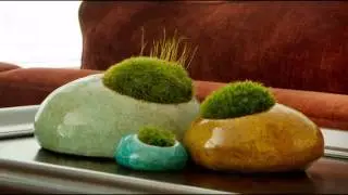 [Garden Ideas] Indoor rock garden ideas