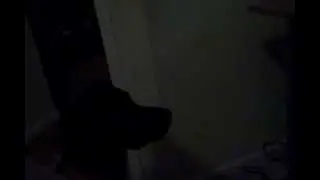 Moll-Dog responding to my Nanny Cam