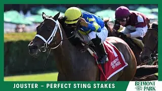 Jouster - 2022 - The Perfect Sting