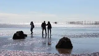 Coastal Heritage: learning for future action