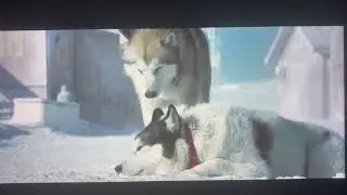 Eight Below Old Jack&rsquo;s Dying/Death