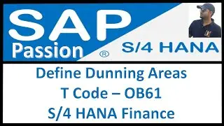 Define Dunning Areas | T Code &ndash; OB61 | S/4 HANA Finance | SAP S4 HANA Finance