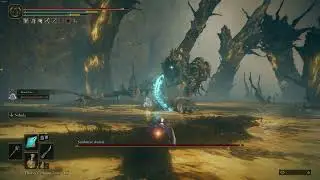 Elden Ring DLC - Mage Boss Fight Scadutree Avatar