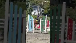 BRIDLELESS LEAD CHANGE!! and we didn&rsquo;t accidentally take a jump at a crazy angle from a trot