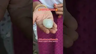 🤤Lychee Fruit ఎపుడైనా తిన్నారా?🤔 Have you ever tasted this juicy FRUIT?🤔 #litchi #sooseki