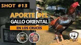 SHOT #13: Aporte del Gallo Oriental en los cruces