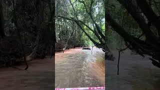 Rain forest challenge 2024 (RFC) Goa