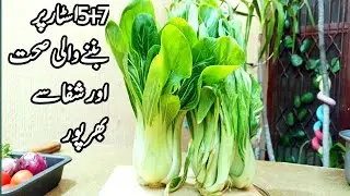 Chinese Cabbage Recipe | چائنیز کیبج کی آسان اور لذیذ سبزی | Mama Food Secrets