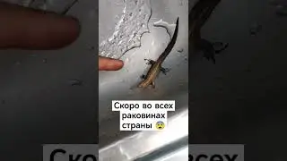 ящеры против русов