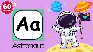 ABC Songs for Toddlers|Animals,Food,Vehicles and more|1 Hour Alphabet Song Compilation