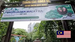 Bukit Nanas Eco Park - Kuala Lumpur, Malaysia
