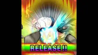 Dragon ball Z dokkan battle SSR multi summon