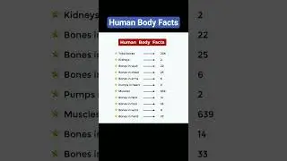 Human Body Facts #humanbody #humanbodyfacts #mintossmood