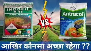 Propineb vs Mancozeb/Antracol vs M45/Who is Better/M45 Fungicide