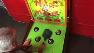 Whac A Mole Arcade Game Rental Bay Area
