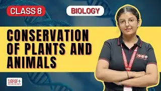 Conservation of plants and animals for class 8 | Science Biodiversity & Conservation | 100+ Academy