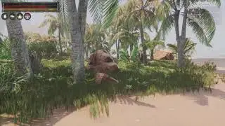 THE ALOE PLANT. A BEGINNER GUIDE CONAN EXILES