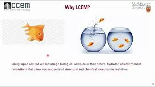 CCEM Webinar Series   Introduction to Liquid Cell Electron Microscopy
