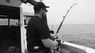 Marlin on Black Magic Stand-Up