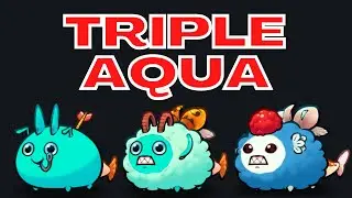 Rank 5 3434 MMR Triple Aqua Arco Scarab Spiky Wing Koi | Season 21 | Axie Infinity