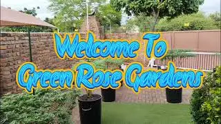Home Grown Craft Cannabis at Green Rose Gardens