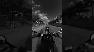 Pov..#adventure390 #insaneclips #shotoninsta360x4 #dowhatyoulove