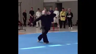European Traditional Chinese Martial Arts Competition 2019 - Marek Piechotka (Hebei Tanglang 1-4 Lu)