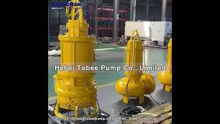 Hydroman&reg; Submersible Sludge Pump for Remove Sand from Batten of Sea Water Basin