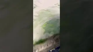 Huge floral  acrylic pour
