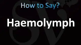 How to Pronounce Haemolymph (CORRECTLY!)