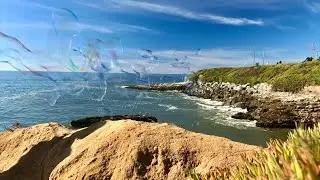 Beautiful Giant Bubbles along West Cliff