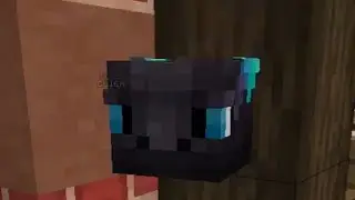 some baby blue ender dragon skin or something on ironman no way irl trader