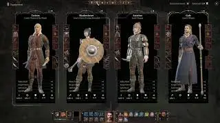 Baldur's Gate 3 Third Companion on Ravaged Beach the Wizard of Waterdeep