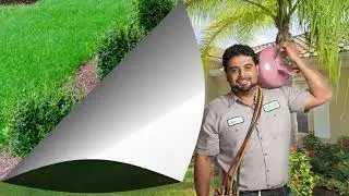 Palm Air, celebrating ten wonderful years in business!
