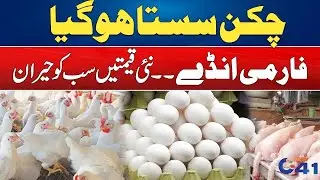 Today Rate list | Chicken Prices Drop! Massive Cut in Broiler Rates | Breaking News | City 41