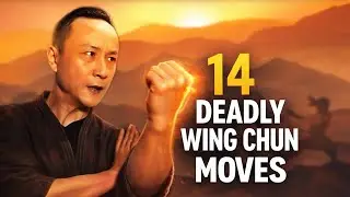WING CHUN - 14 Self Defense Techniques Martial Arts Instruction